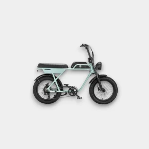 AGM GT250 Fatbike Grijs - Stijlvolle en robuuste fiets met dikke banden