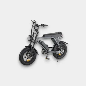 Mini Fatbike Grijs - C80