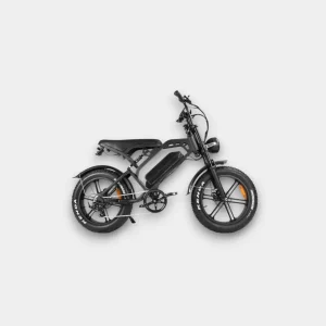 Diablo E ONE Fatbike Groen - Krachtige elektrische fiets met dikke banden