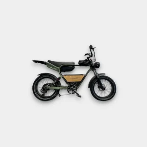 Diablo Q6 Fatbike Groen - Fiets voor off-road avonturen