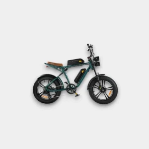 Fatbike ENGWE M20 met Dubbele Accu in Groen - Ultieme Elektrische Fiets voor Off-Road Avonturen