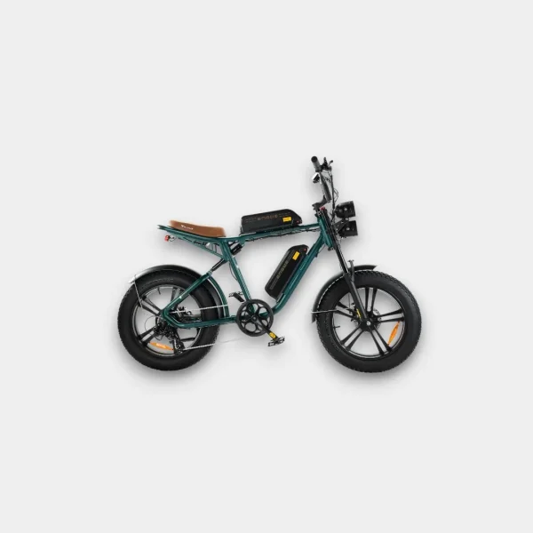 Fatbike ENGWE M20 met Dubbele Accu in Groen - Ultieme Elektrische Fiets voor Off-Road Avonturen