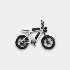 ENGWE M20 Fatbike met Dubbele Accu in Wit - SEO vriendelijke product titel