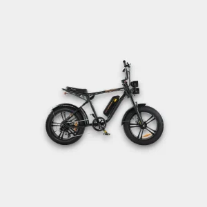 ENGWE M20 Fatbike Zwart - Krachtige elektrische fiets met dikke banden
