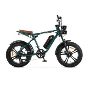 ENGWE M20 - Groen kopen | eBikeonderdelen.nl