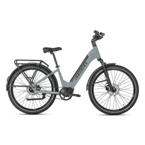 JOBOBIKE Luxe - Zilvergrijs kopen | eBikeonderdelen.nl
