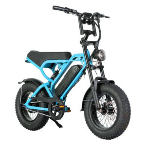 V20 Pro Mini - Blauw kopen | eBikeonderdelen.nl