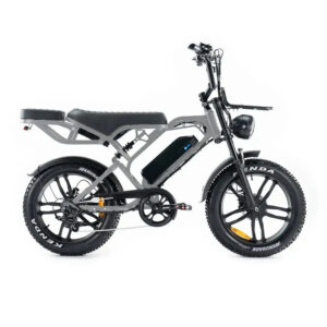 V20 Pro Mini - Licht Grijs kopen | eBikeonderdelen.nl