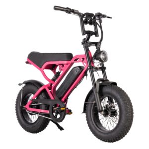 V20 Pro Mini - Roze kopen | eBikeonderdelen.nl