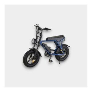 Mini Fatbike Blauw – C80