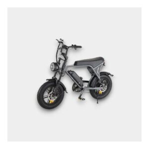 Mini Fatbike Grijs – C80