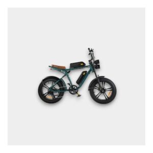 ENGWE M20 – Dubbele Accu – Zwart