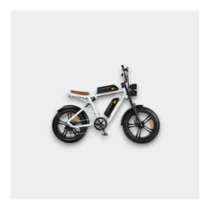 ENGWE M20 Fatbike met Dubbele Accu in Wit – SEO vriendelijke product titel