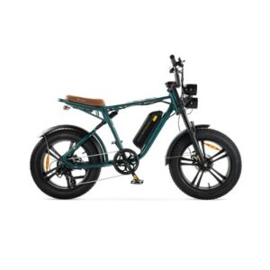 ENGWE M20 – Groen