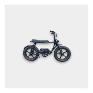 Pulse Q1 City Fatbike Zwart