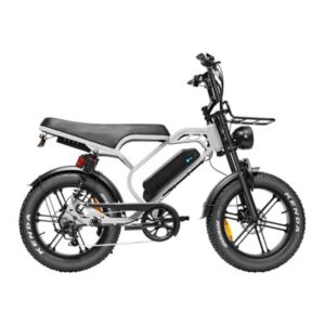 V20 Limited – Bruin