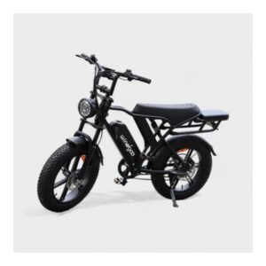 Windgoo F20