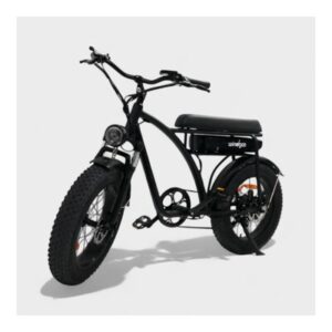 Windgoo F5